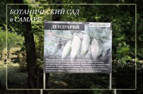 Ботанические сады