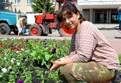 Посадка декоративных растений