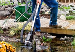 Контроль и очистка водоема – это то, что нужно для поддержания в надлежащем порядке ландшафтного дизайна сада
