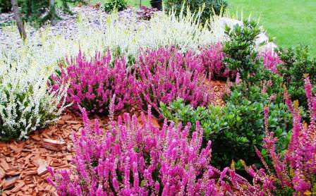 ������������ �� �������