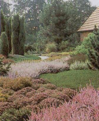 ������ � ����������� �������