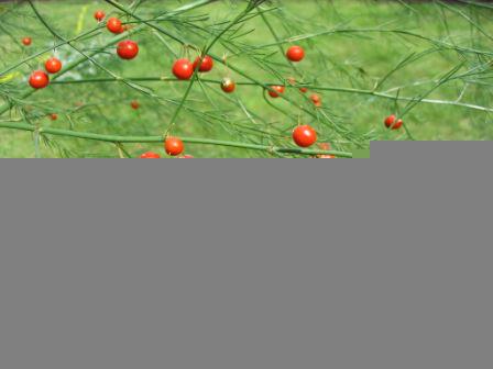 ����������� ������:������� � ����, ����������� � ������ � �������������