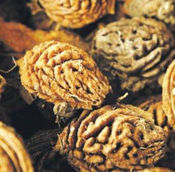 Какие косточки выбрать