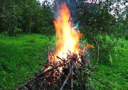 Кора с деревьев сжигается вместе с остальным садовым мусором