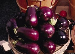 С приближением весны и дачного сезона заядлые огородники начинают беспокоиться о подготовке к садово-полевым работам