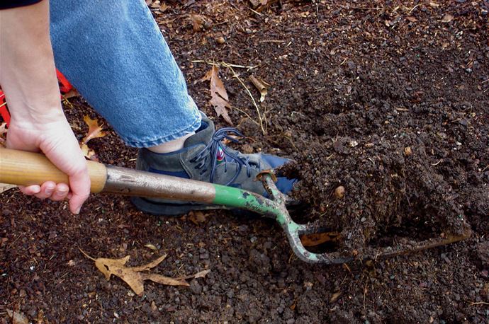 Подготовка почвы – самый трудоемкий этап