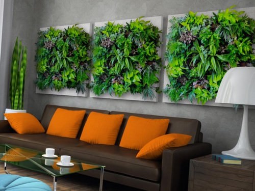 Живые картины на стену, подбор растений, как сделать,фото, видео