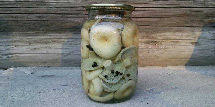 Полезные свойства груздей не исчезают после засолки