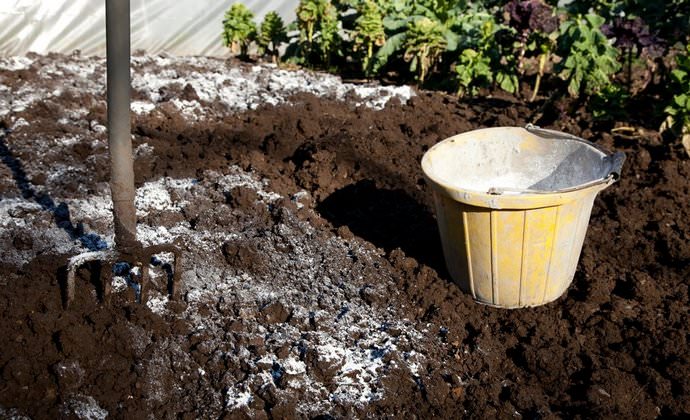 Для известкования лучше всего использовать свободно текущие и хорошо диспергированные в слоях почвы вещества.