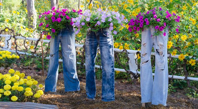 Висадка петунії в саморобні та готові вазони – один із найдоступніших простих способів декорування садової ділянки