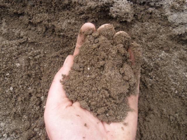 Бедные на гумус песчаные почвы особенно нуждаются в регулярном внесении органических удобрений