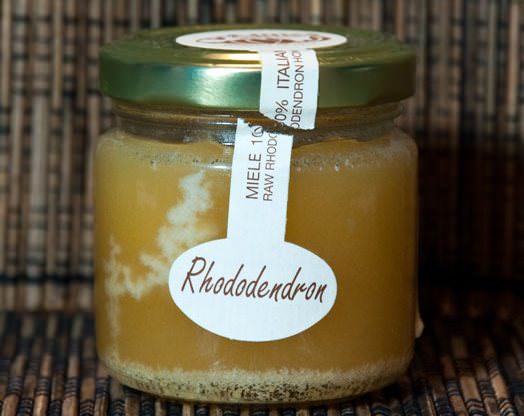 Мед из рододендрона кавказского используется при лечении простуды, бронхитов, инфекционных заболеваний