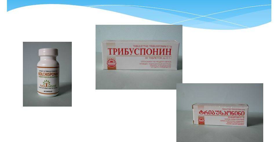 Что лечат якорцы стелющиеся
