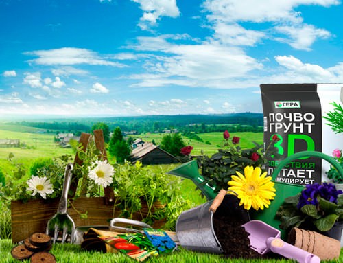 Лунный посевной календарь необходим любому садоводу и огороднику