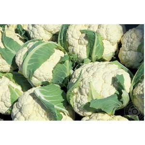 Ответ на Не завязалась цветная капуста, почему