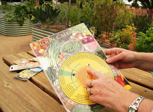 Уже начиная с декабря, садоводы активно изучают лунные посевные календари 2018 года