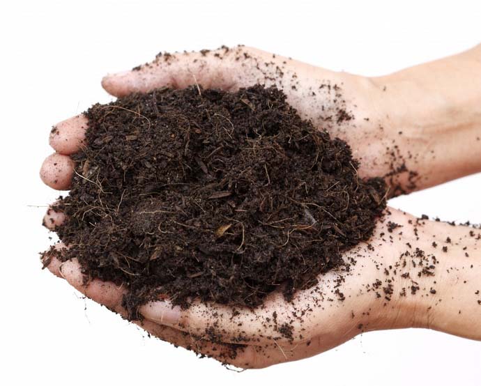 Для выращивания спатифиллума рекомендуется использовать легкую и рыхлую почву со слабокислой реакцией