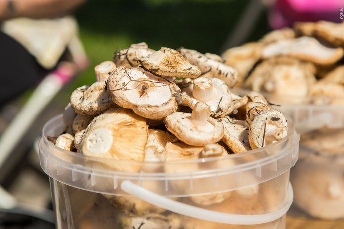 Засолку хранить в холодном, хорошо проветриваемом погребе