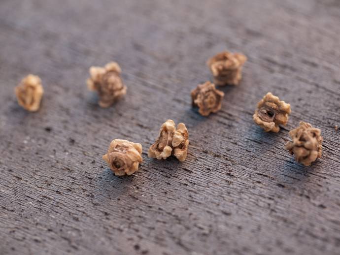 Перед посадкой свеклы обязательно делают обработку семян