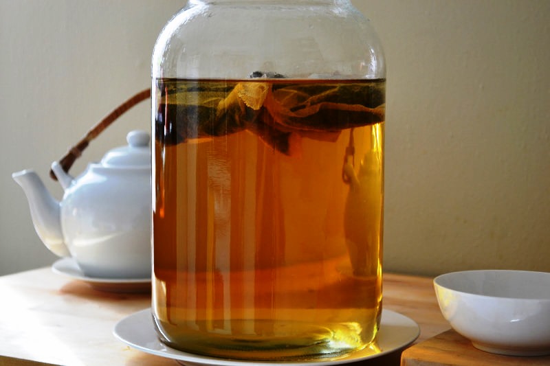 Гриб плавает на поверхности питательной среды, в качестве которой используется настой сладкого чая