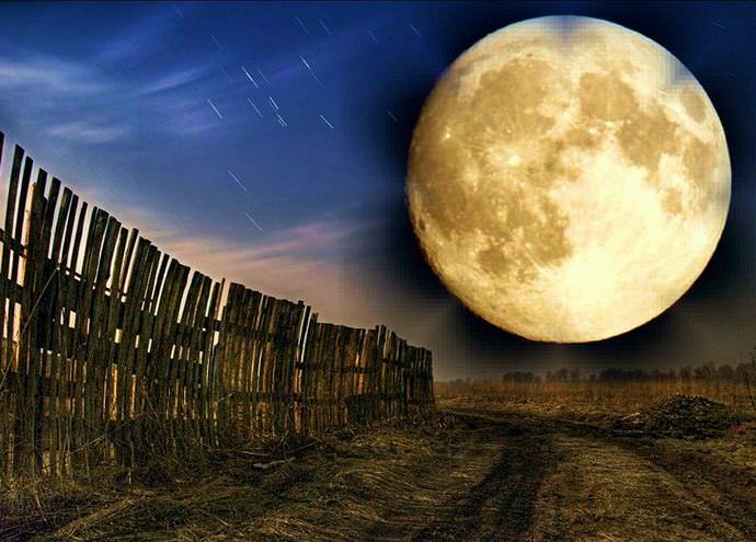 Для любого огородника не является новостью, что в полнолуние не стоит совершать какие-либо работы