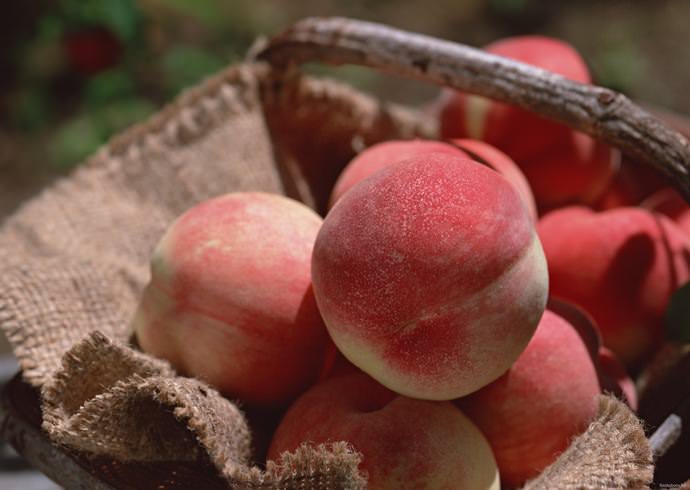 Персики – одни из самых любимых фруктов
