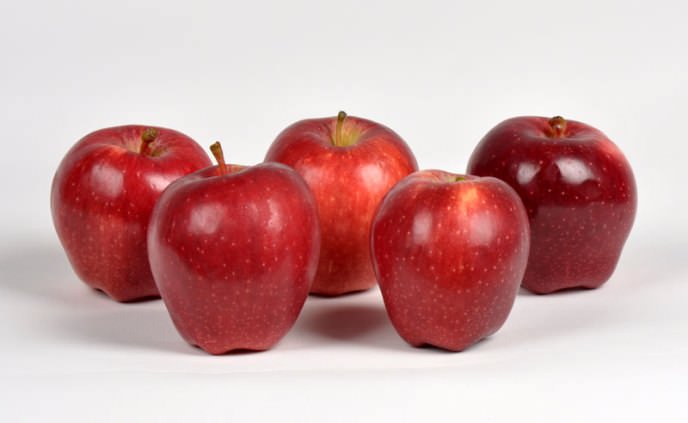 Сорт «Ред чиф» характеризуется довольно крупными плодами