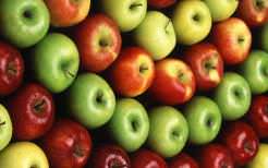 В настоящее время насчитывается больше чем двадцать тысяч разнообразных сортов яблонь