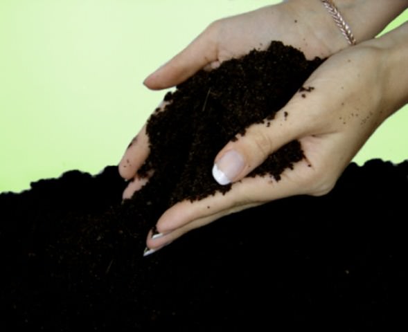 Плодородие почвы представляет собой способность удовлетворять нужды растений в питательных веществах, воде, тепле и воздухе