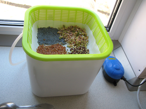 Что такое барботирование