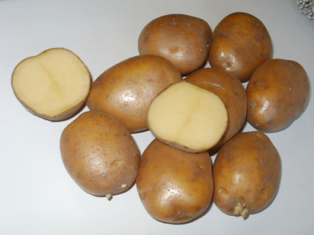 Корнеплоды картофеля «Скарб» обладают таким важным свойством, как абсолютно не темнеющая при любой термической обработке мякоть