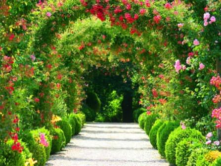 Аллея в саду: очаровательное место для прогулок