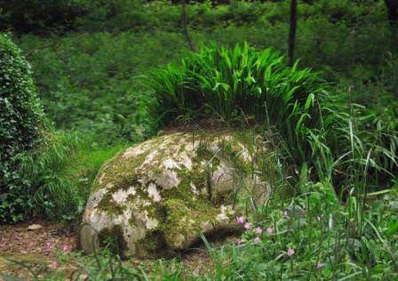 Живые скульптуры