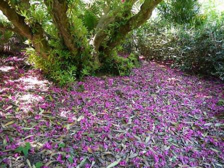 Кто основатель