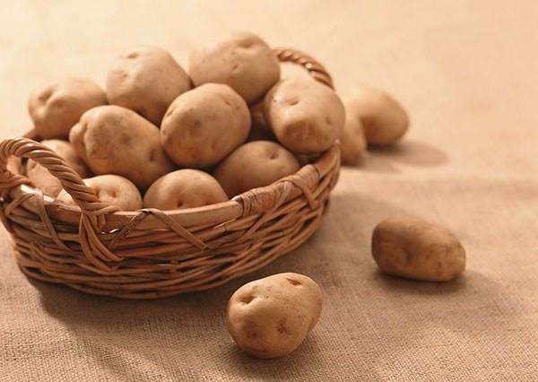 В процессе хранения картофеля следует контролировать параметры температуры и влажности