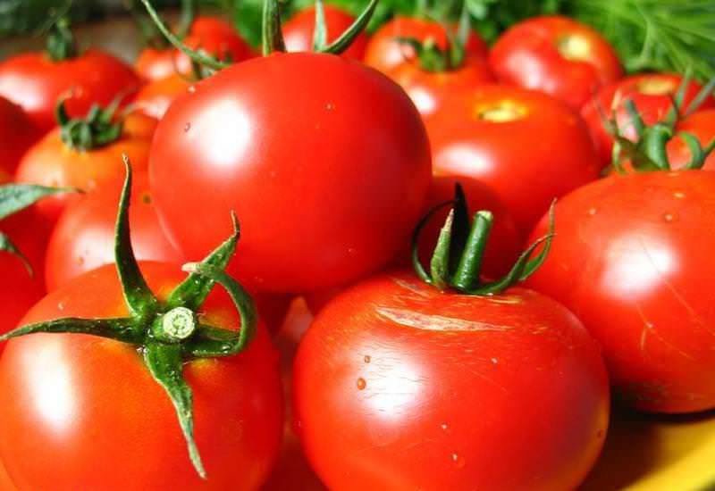 Лучшие сорта томатов для теплиц в 2018 году: описание, отзывы