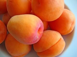 Искра — сорт абрикоса, который показывает высокую урожайность среднерослых и очень вкусных плодов