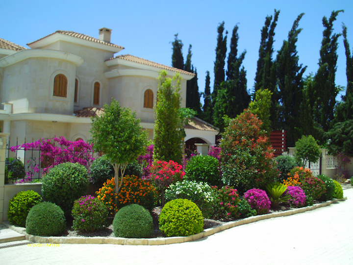Как обустроить сад в средиземноморском стиле