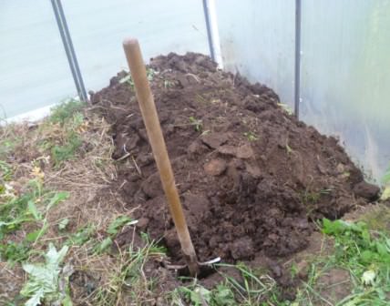 Проведение подготовки теплицы к осени предполагает удобрение и чистку почву