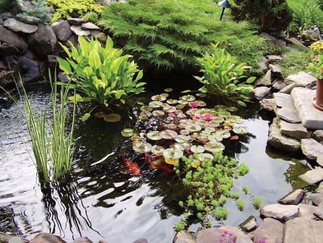 Если вы — счастливый обладатель роскошного сада с искусственным водоемом, тогда для вас весенняя уборка является очень ответственным занятием