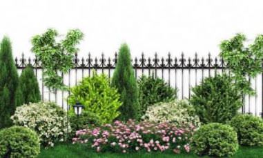 ��� �������, ������� ����� ����� ���������� �� ��������������