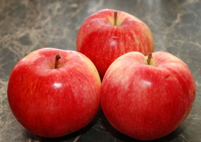 Плоды яблони «Услада» относятся к категории универсального использования