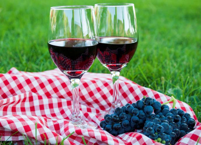 Многие виноградари используют сорт «Муромец» для изготовления высококачественного столового вина