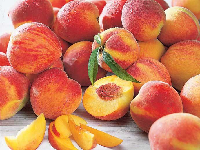 На территории Подмосковья предпочтительнее выращивать раннеспелые сорта персика