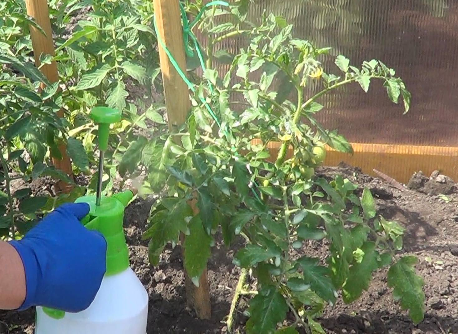 Сделать корону своими руками из атласных лент своими руками Сделать корону своими руками из атласных лент своими руками