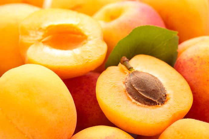 В мясистых плодах абрикоса имеется одна косточка с твердой оболочкой