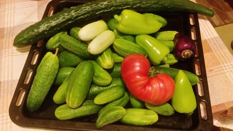 Пекинские огурцы