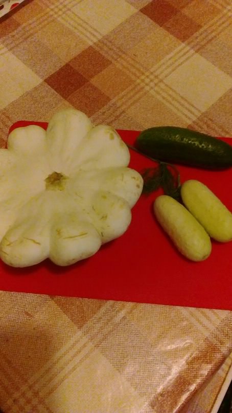 Пекинские огурцы