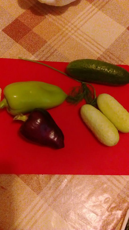 Пекинские огурцы