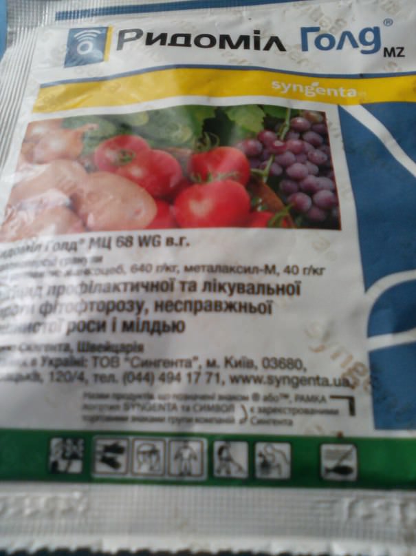 Как правильно использовать препарат "Ридомил Голд" от фитофторы